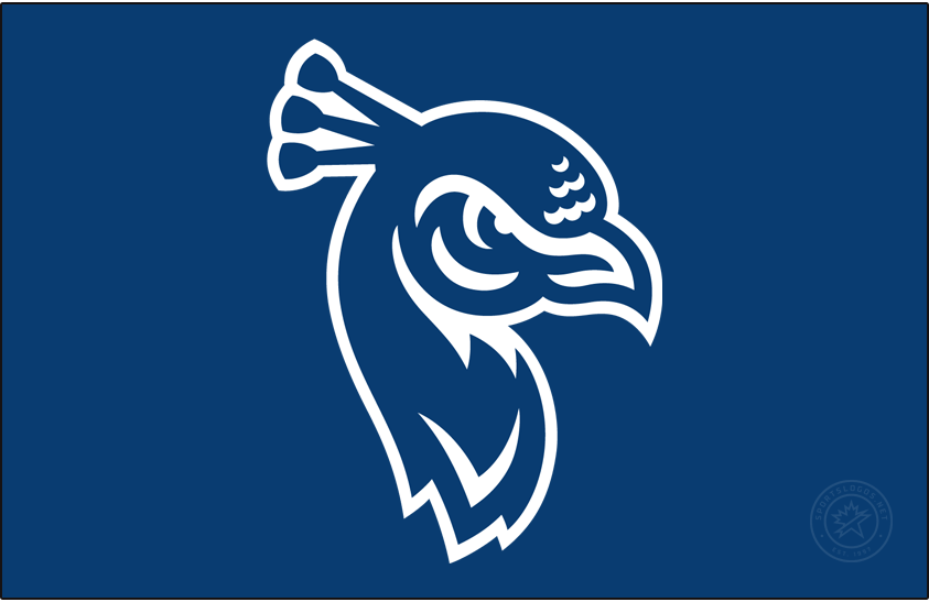 St. Peters Peacocks 2020-pres primary dark logo diy iron on heat transfer